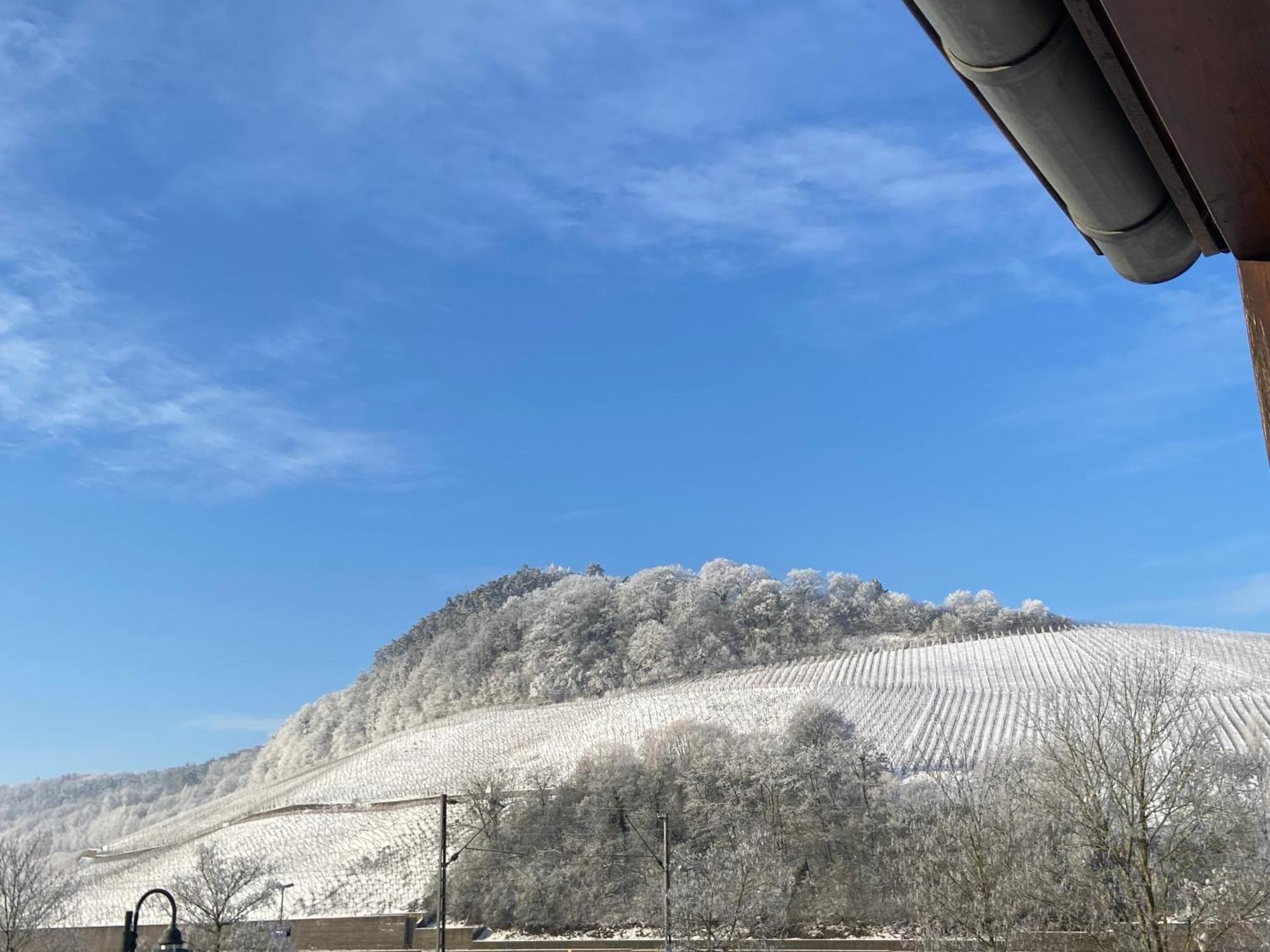 Gastehaus Und Weingut Bernd Frieden Hotel นิทเทอ ภายนอก รูปภาพ