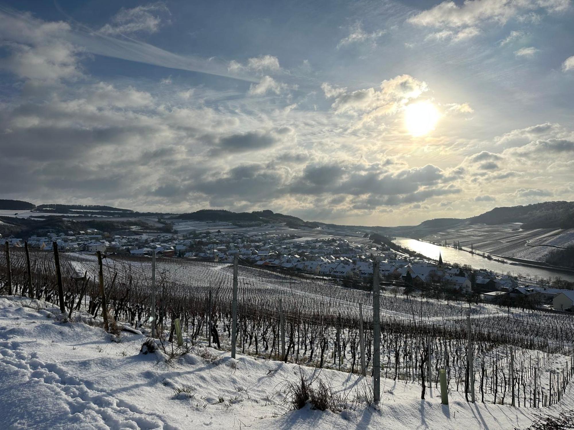 Gastehaus Und Weingut Bernd Frieden Hotel นิทเทอ ภายนอก รูปภาพ