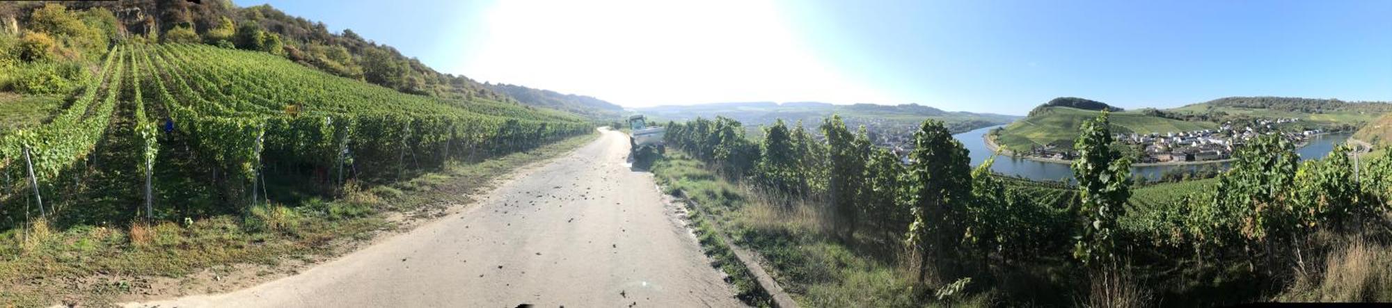 Gastehaus Und Weingut Bernd Frieden Hotel นิทเทอ ภายนอก รูปภาพ