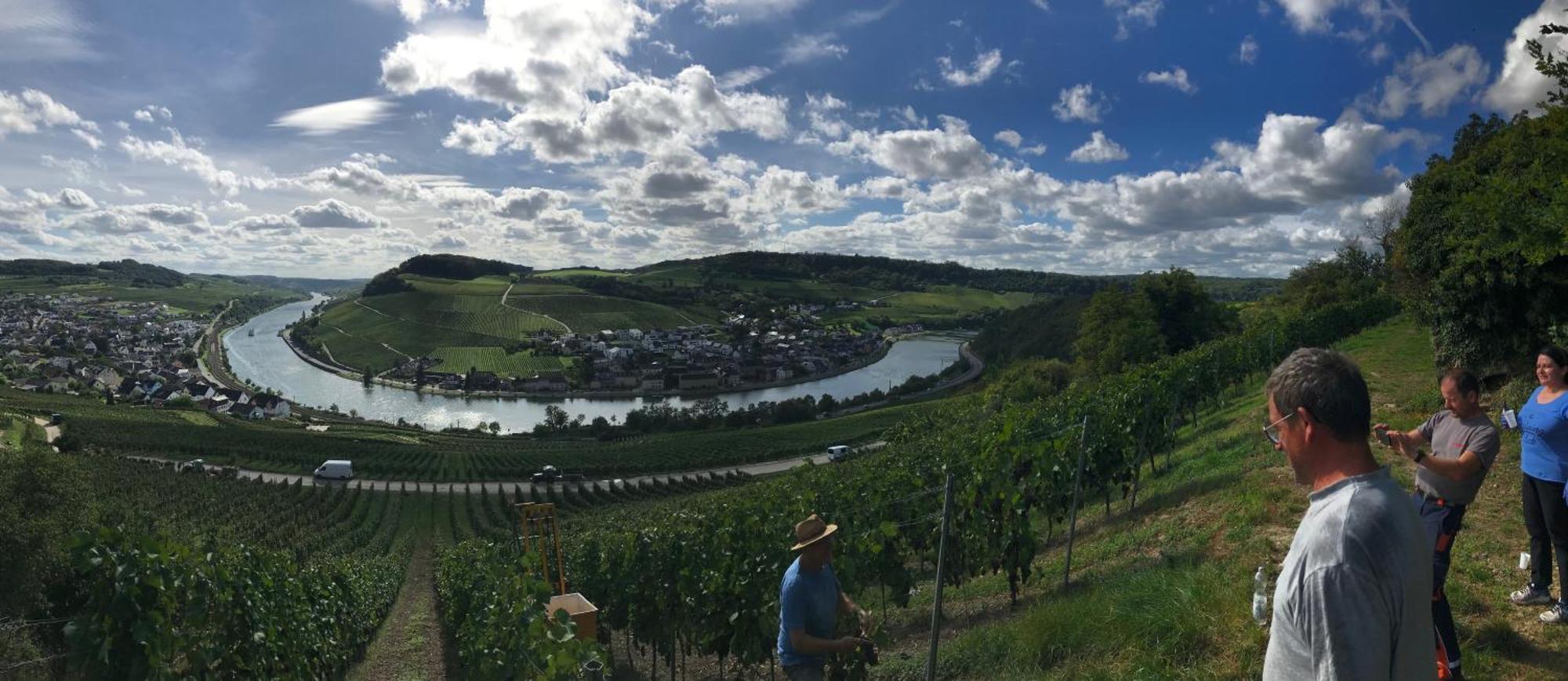 Gastehaus Und Weingut Bernd Frieden Hotel นิทเทอ ภายนอก รูปภาพ