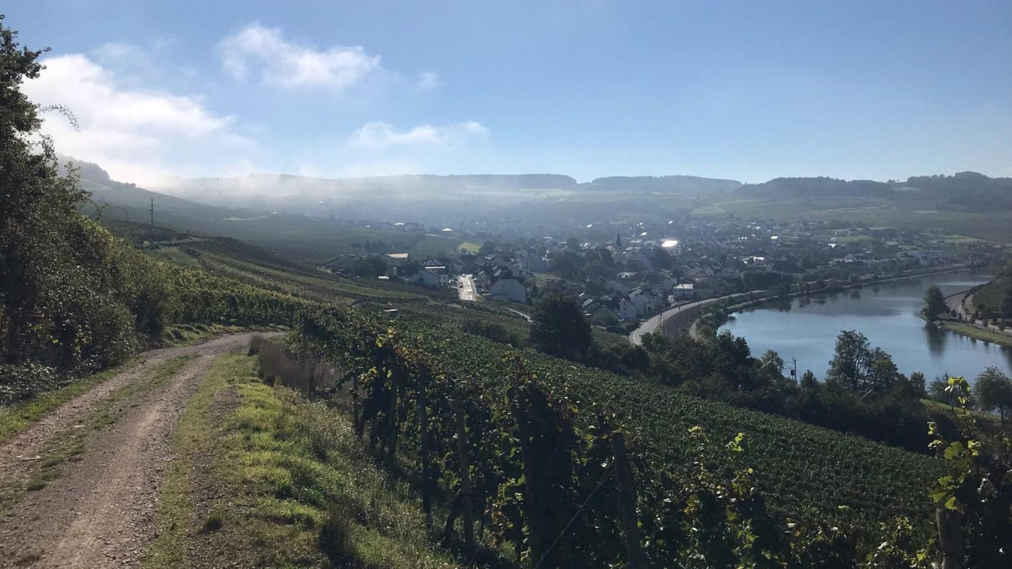 Gastehaus Und Weingut Bernd Frieden Hotel นิทเทอ ภายนอก รูปภาพ