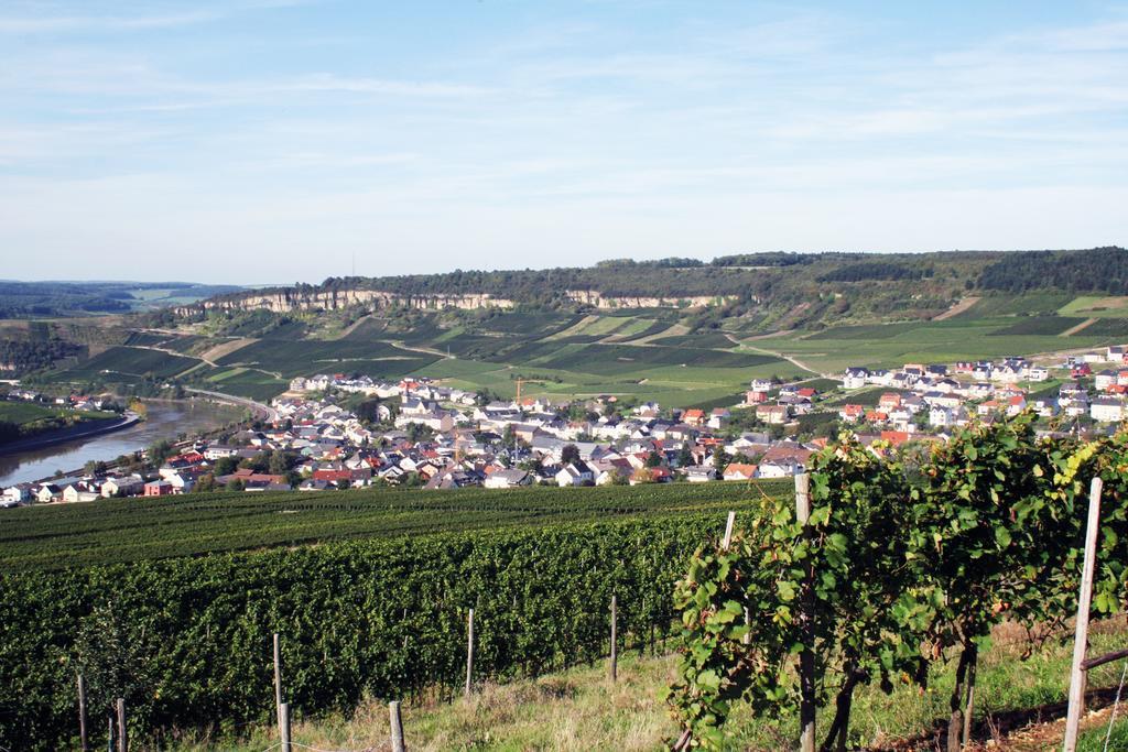 Gastehaus Und Weingut Bernd Frieden Hotel นิทเทอ ภายนอก รูปภาพ